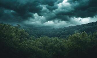 Dark and brooding clouds gathering over a dense forest photo