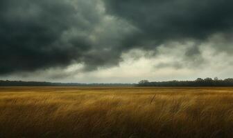 Dark clouds looming over a wide open field photo