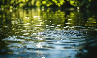 Small waves on the surface of a pond, sunlight glinting off the water photo