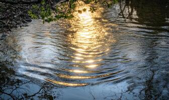 A body of water with a reflection of the sky and trees photo