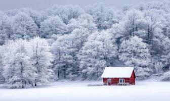 A red cabin is in the middle of a snowy field photo