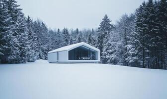 A white house with a large window sits in a snowy field photo