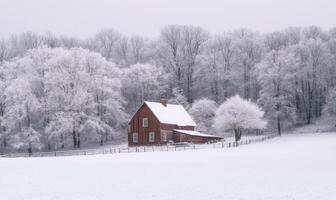 A small red house sits in a snowy field photo