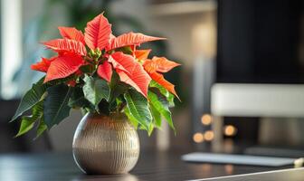 A small vase with a red flower in it sits on a table photo