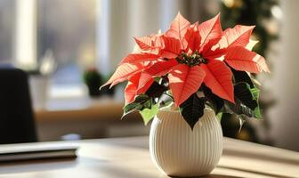 A white vase with a red flower in it sits on a table photo