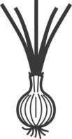 An onion is shown in a black and white illustration vector