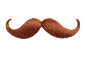 Fake curly brown handlebar mustache png