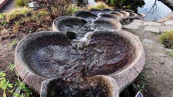 View From Top Of Water Form Fountain Flowing Into Pond video