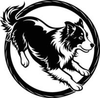 Border collie dog running in circle vector