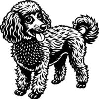 A black and white poodle dog standing in front of a white background vector