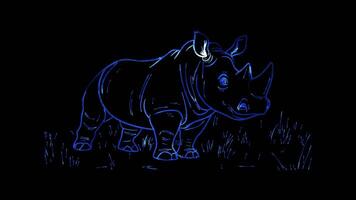 Neon frame effect, Happy Rhino in the Grass on black background video