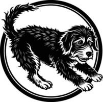 A black and white dog running in a circle vector