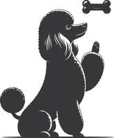 A black poodle dog with a bone in its mouth vector