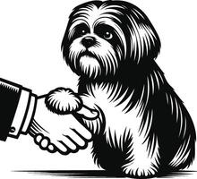 Shih tzu dog shaking hands with a man vector