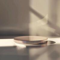A round object sitting on a table in the sunlight photo