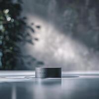 A black box sitting on a table in front of a plant photo