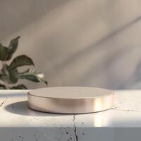 A round object on a table with a plant in the background photo