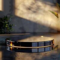 A circular object on a table with a plant in the background photo