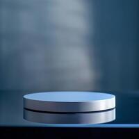 A white circular object sitting on top of a table photo