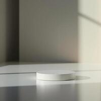 A white round object sitting on a table in front of a window photo