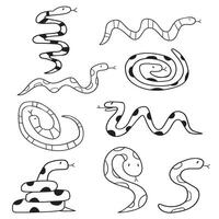 Snakes. Collection of outline icons. Black color. Hand drawn graphic design. Illustrations on white background.rint vector