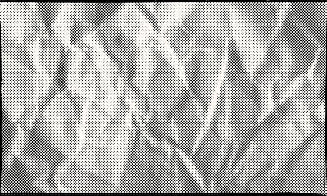 Abstract Textured Dotted Halftone Retro Paper Print Texture Frame Wallpaper