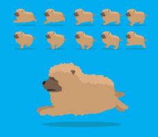 Animal Animation Sequence Dog Chow Chow Cartoon Brown Coat vector