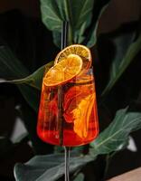 Refreshing aperol spritz cocktail standing on a table with tropical plants in the background photo