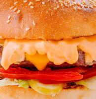 Delicious burger with melted cheese and sauce is waiting for being eaten photo