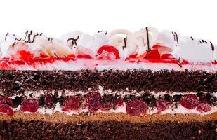 Delicious chocolate cake with cherries and whipped cream on white background photo