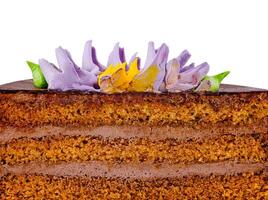 Delicious chocolate cake with butter cream flowers showing its layers photo