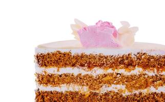 Delicious cake showing layers of cream filling and sponge cake photo