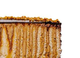 Cake with many layers, covered with chocolate and nuts is showing its texture photo