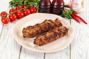 Chicken kebab minced meat and spices photo