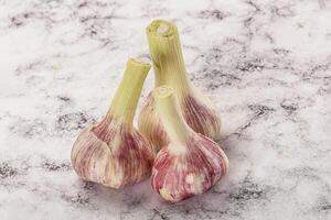 Young garlic heap for cooking photo