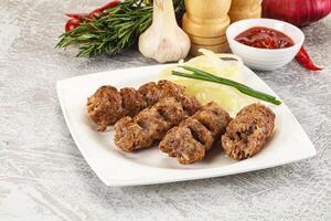 Beef kebab minced meat with onion photo