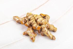 Fresh young Tumeric root heap photo