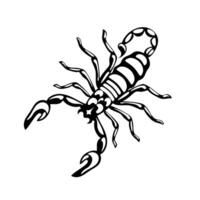 Here is a highly detailed black and white scorpion illustration that is perfect for a variety of creative projects. Scorpio Zodiac Sign. celestial objects, astrology, mystical, space, predict future vector