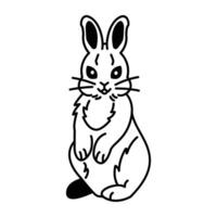 A sketchy icon of hare cartoon with cute expressions vector