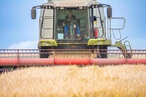 Isla Mayor, Spain, 10 04 2015, Combine Harvester in Rice Field in Isla Mayor, Donana Marshes photo