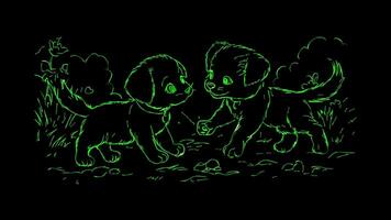 Neon frame effect, puppy and kitten playing together on black background video