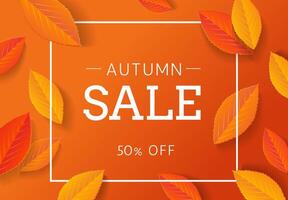 Autumn Sale banner or flyer design template with text in frame and autumn leaves on orange background. 50 off vector