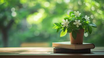 books and vases are on the table. the concept of time to relax photo
