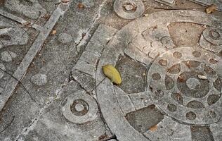 Carved ancient stone and rocks outdoor ground flooring texture isolated on horizontal ratio background with fallen dry leaves and thin tree branches. photo