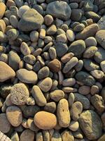 A close-up of round pebbles on the beach at sunset, view from above photo