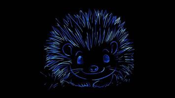 Neon frame effect, porcupine with soft quills and a friendly face on black background video