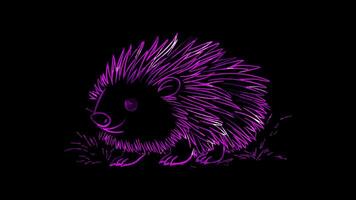 Neon frame effect, porcupine with soft quills and a friendly face on black background video