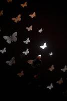 Mirror butterfly stickers on a black background. Decorative element in design photo