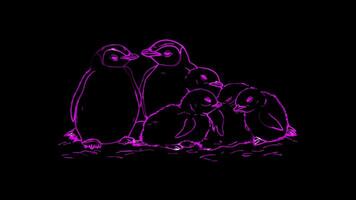 Neon frame effect, family of penguins huddling together on black background video