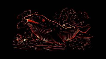 Neon frame effect, whale with a big splash coming out of its blowhole on black background video
